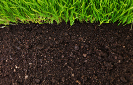 Soils & Organics Image